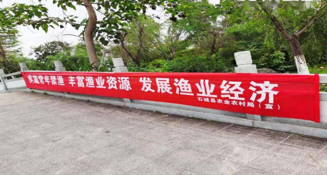admin 第2页